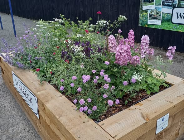 New Raised Beds on the York Platform