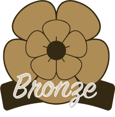 Bronze Business Sponsora