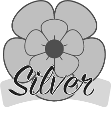 Silver Business Sponsors